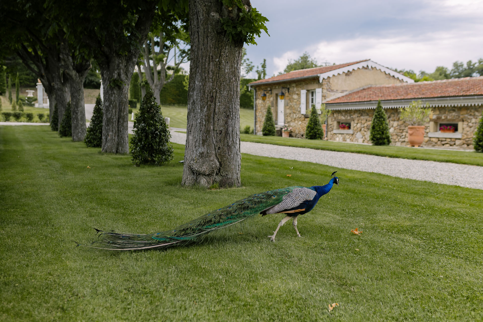 Mariage chateau Chavagnac